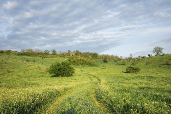 Aventure Nautique : Le Guide Complet pour Explorer le Canal du Midi