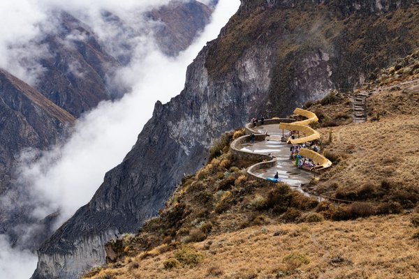 Les Avantages d'un Emplacement Sous les Arbres en Camping avec Votre Animal de Compagnie : Astuces Indispensables pour des Vacances Inoubliables