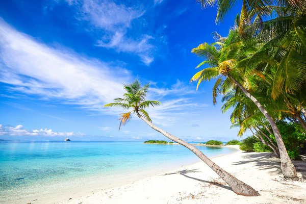 Explorez les Merveilles des Croisières Fluviales en Europe : Guide pour Choisir Votre Itinéraire Idéal !